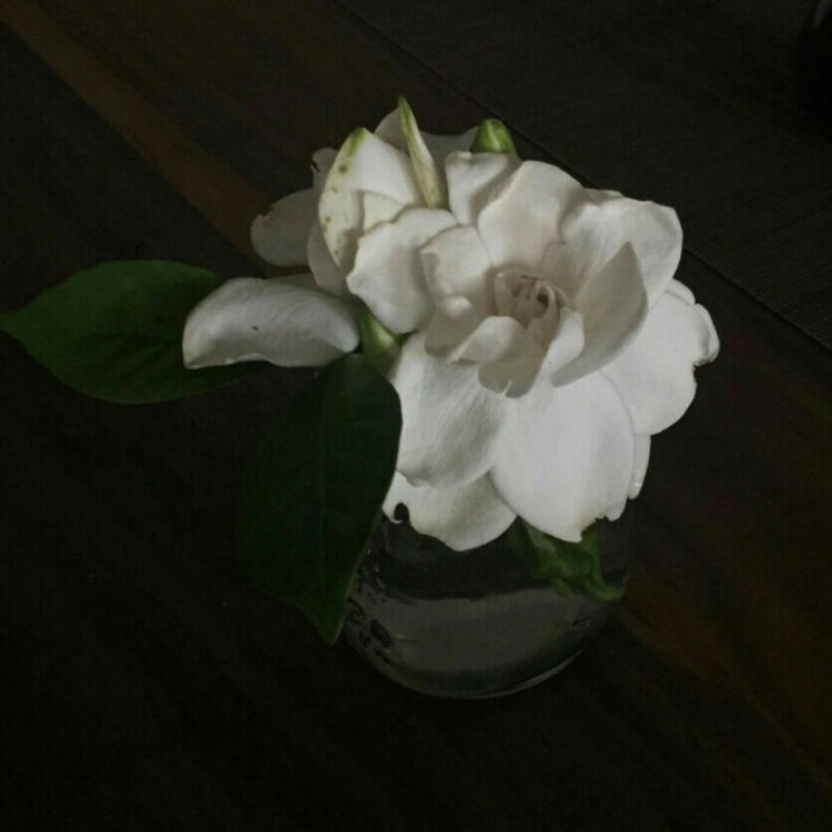 神谷熏（身份：神谷活心流代理师父、女主角） - 弹幕视频网站在线观看 - 平板观影